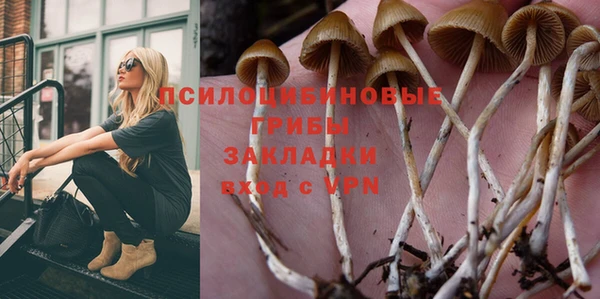 мет Заводоуковск
