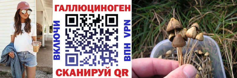 Псилоцибиновые грибы Cubensis купить наркотик Карачев